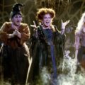 Hocus Pocus