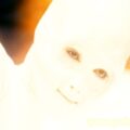 Cocoon 2