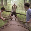 The Kings Of Summer