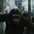 Dawn Of The Planet Of The Apes