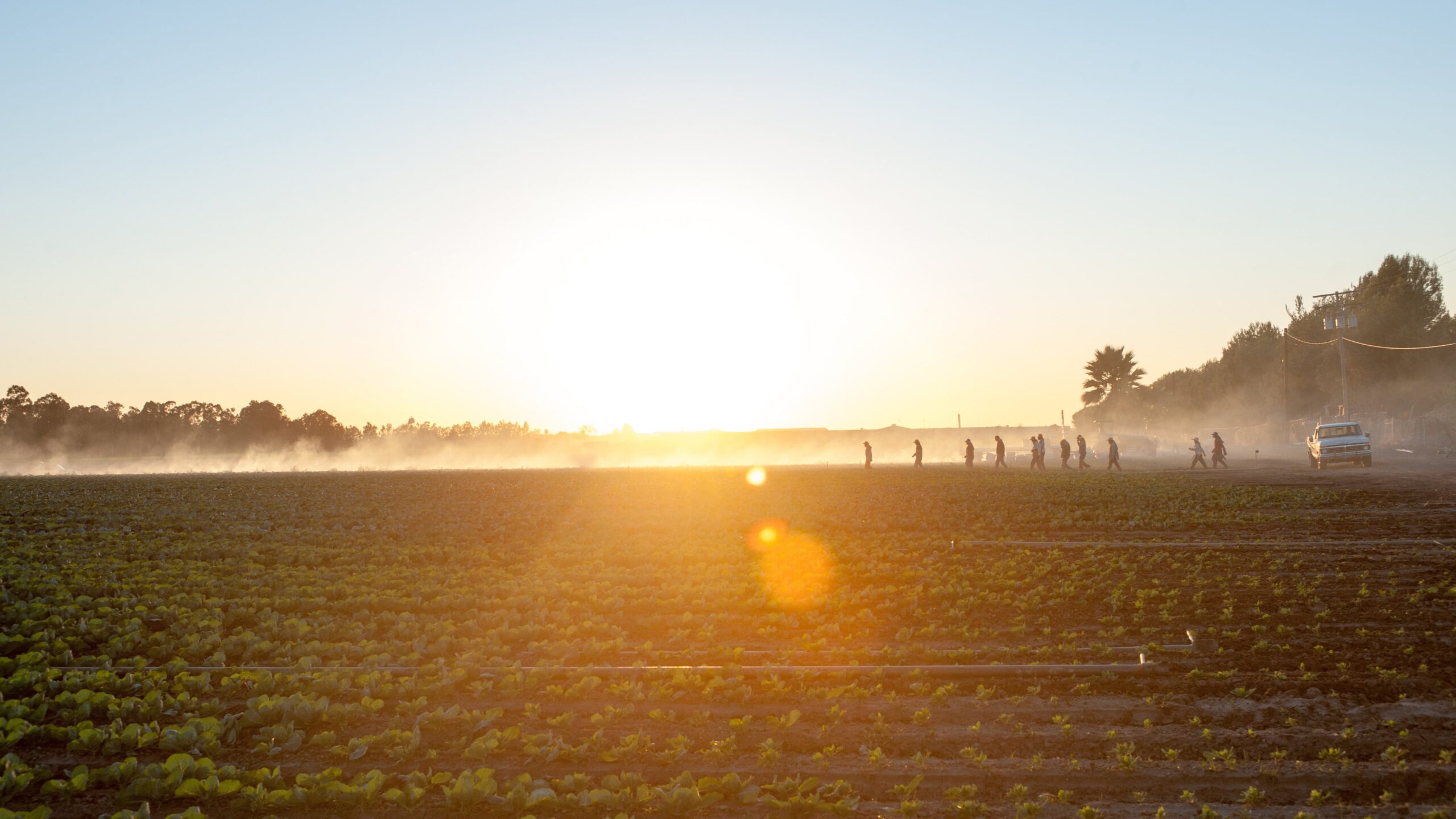 McFarland, USA
