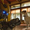 Bumblebee