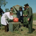 Attack Of The Killer Tomatoes