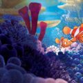 Finding Nemo
