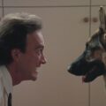 K-9