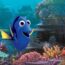 Finding Dory