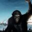 Rise Of The Planet Of The Apes