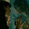 The Shape Of Water
