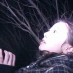 Noroi: The Curse