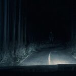 Passenger