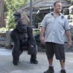 Zookeeper