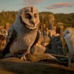 Legend Of The Guardians