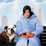 Little Nicky