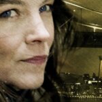 Irene Huss: Det lömska nätet