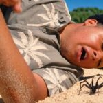 Spider Island