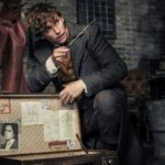 Fantastic Beasts 2: The Crimes Of Grindewald